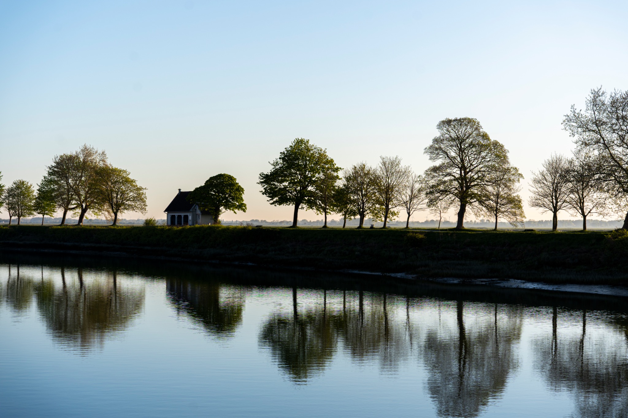 Landschap met bomen en water