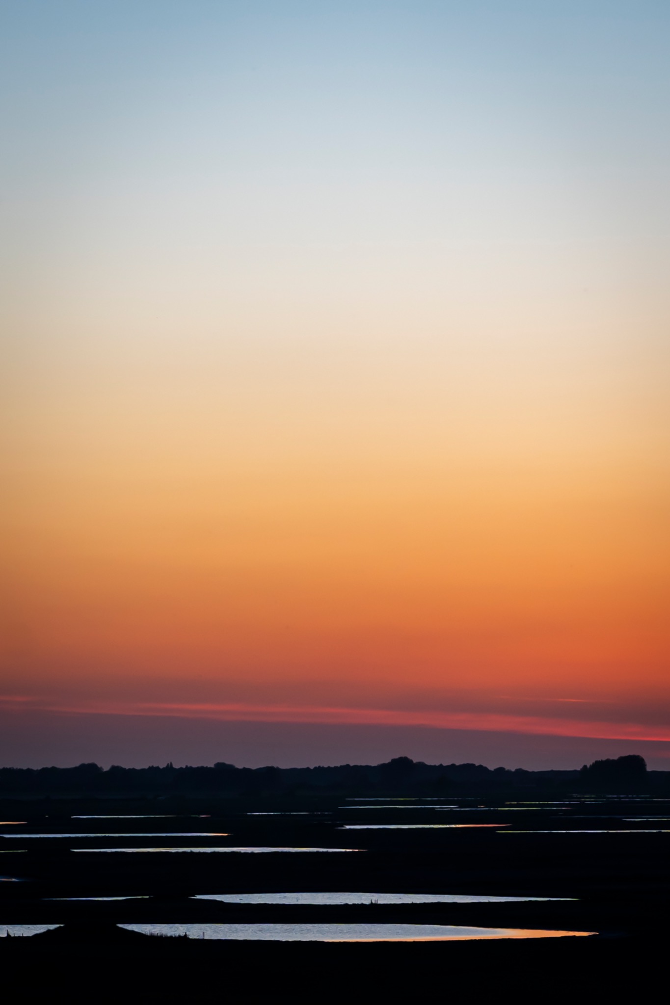 Natuur foto 6