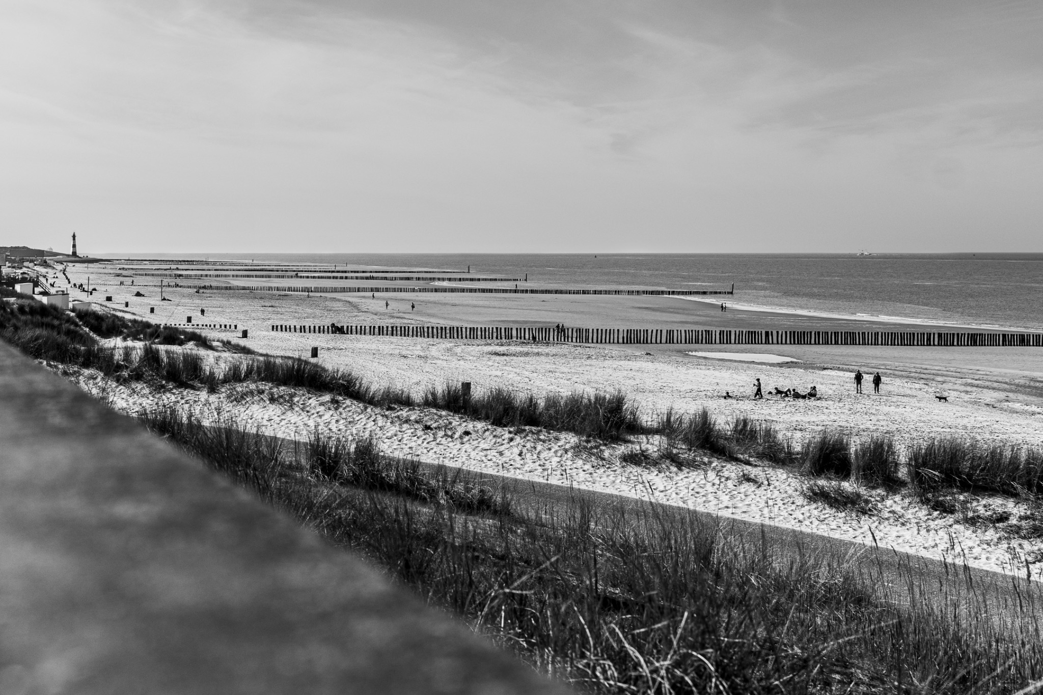 Natuur foto 9